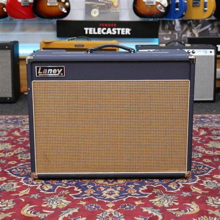 How big are the loudspeakers on the Laney L20T?