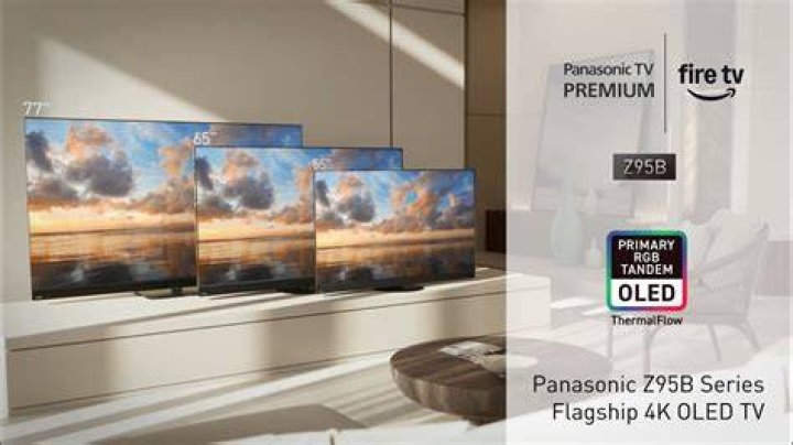 Is Panasonic a good TV make?