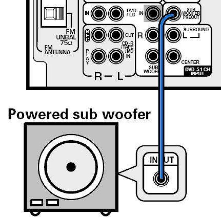 What connects to a subwoofer?