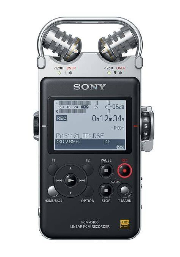 What kind of sound does a Sony PCM D100 have?
