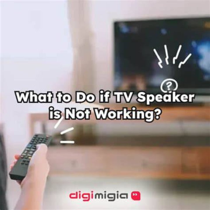What should I do if my TV speakers are not working?