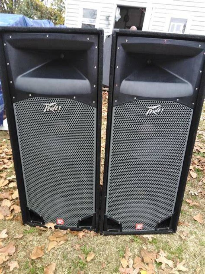 What should I replace my Peavey SP4 speaker with?